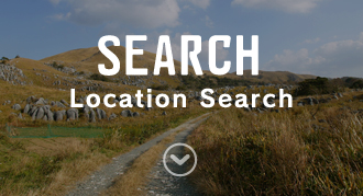 Location Search 